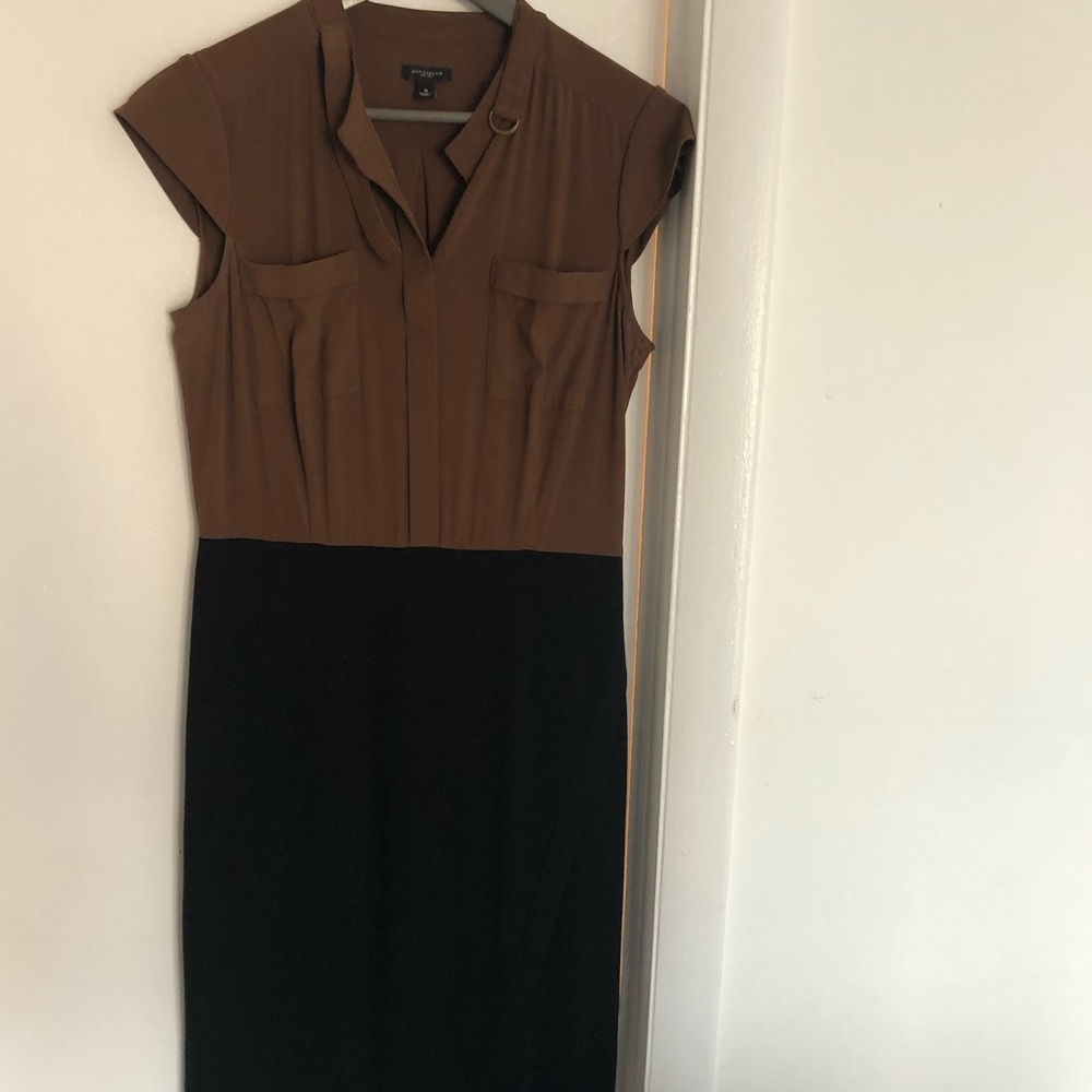 Ann Taylor Brown and black dress